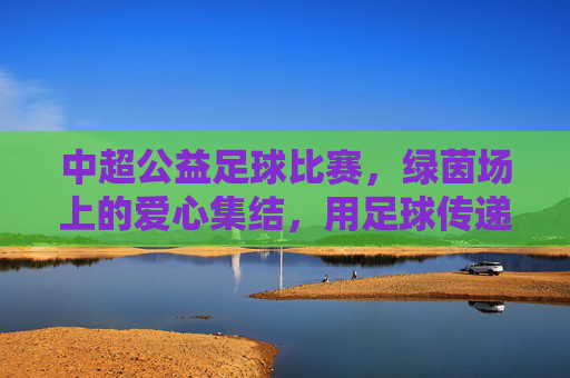 中超公益足球比赛,绿茵场上的爱心集结,用足球传递社会温度,中超公益足球比赛,绿茵场上的爱心集结,用足球传递社会温度