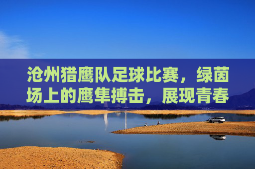 沧州猎鹰队足球比赛,绿茵场上的鹰隼搏击,展现青春力量与团队荣光