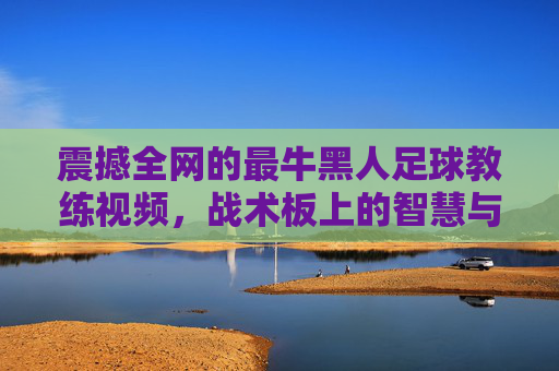震撼全网的最牛黑人足球教练视频,战术板上的智慧与赛场上的传奇,每一帧都燃爆足球迷的激情!