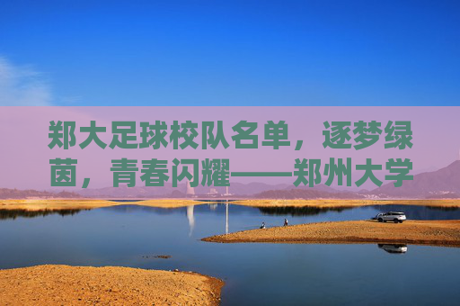 郑大足球校队名单，逐梦绿茵，青春闪耀——郑州大学足球校队成员风采与风采展示，郑州大学足球校队风采展示，逐梦绿茵，青春闪耀