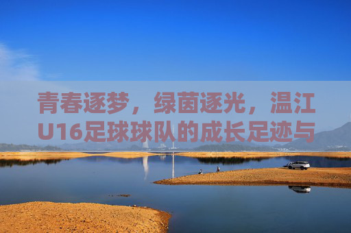 青春逐梦，绿茵逐光，温江U16足球球队的成长足迹与未来展望，青春逐梦，绿茵逐光，温江U16足球球队的成长足迹与未来展望