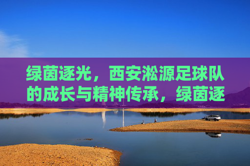 绿茵逐光,西安淞源足球队的成长与精神传承,绿茵逐光,西安淞源足球队的成长与精神传承