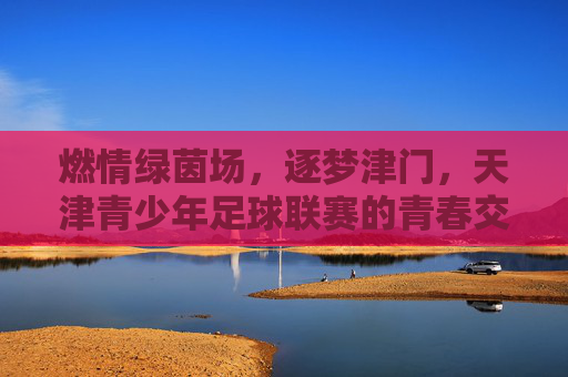 燃情绿茵场,逐梦津门,天津青少年足球联赛的青春交响曲,燃情绿茵场,逐梦津门,天津青少年足球联赛的青春交响曲