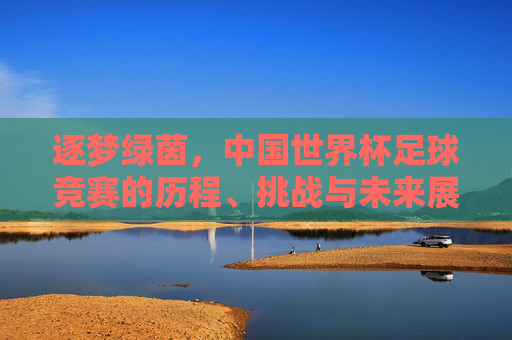 逐梦绿茵,中国世界杯足球竞赛的历程、挑战与未来展望,逐梦绿茵,中国世界杯足球竞赛的历程、挑战与未来展望