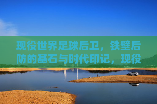 现役世界足球后卫，铁壁后防的基石与时代印记，现役世界足球后卫，铁壁后防的基石与时代印记