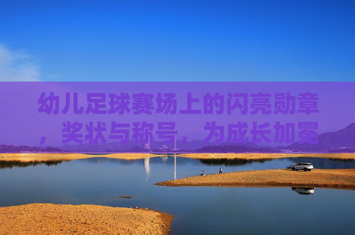幼儿足球赛场上的闪亮勋章,奖状与称号,为成长加冕,幼儿足球赛场上的闪亮勋章,奖状与称号,为成长加冕