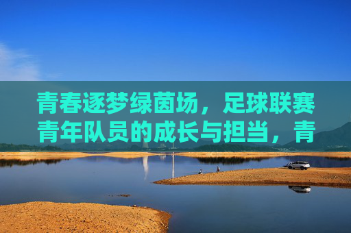 青春逐梦绿茵场，足球联赛青年队员的成长与担当，青春逐梦绿茵场，足球联赛青年队员的成长与担当