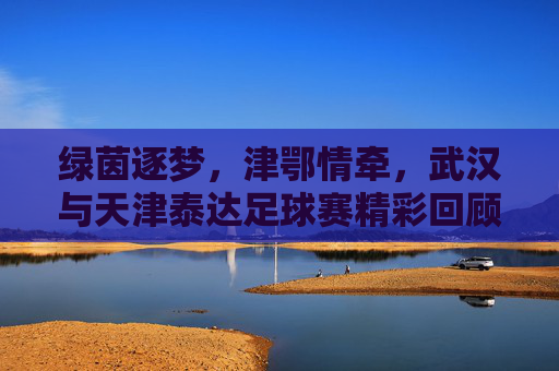 绿茵逐梦,津鄂情牵,武汉与天津泰达足球赛精彩回顾,绿茵逐梦,津鄂情牵,武汉与天津泰达足球赛精彩回顾