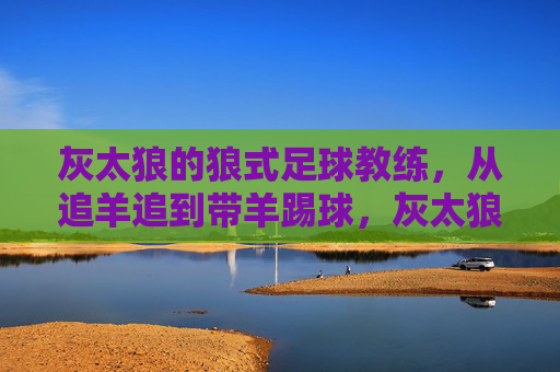 灰太狼的狼式足球教练,从追羊追到带羊踢球,灰太狼转型足球教练,从追羊到带羊踢球