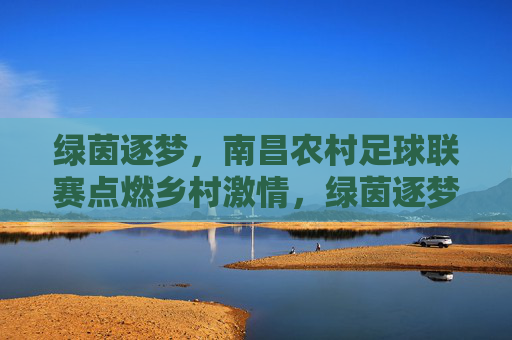 绿茵逐梦,南昌农村足球联赛点燃乡村激情,绿茵逐梦,南昌农村足球联赛点燃乡村激情