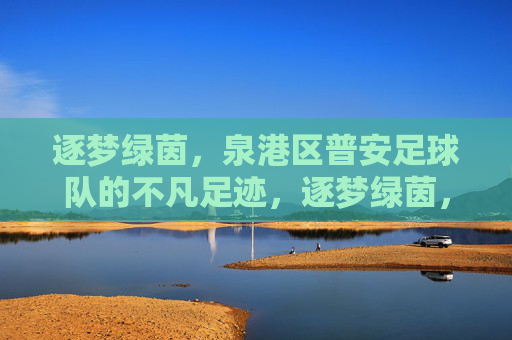 逐梦绿茵,泉港区普安足球队的不凡足迹,逐梦绿茵,泉港区普安足球队的不凡足迹