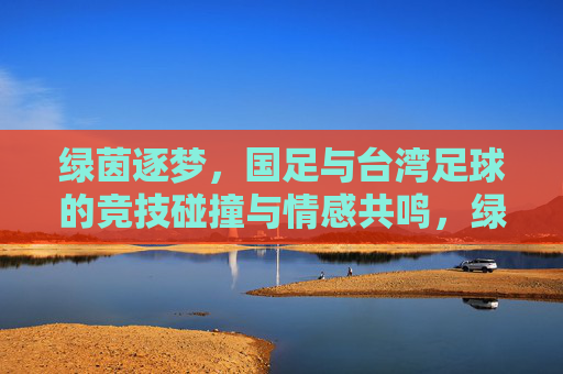 绿茵逐梦,国足与台湾足球的竞技碰撞与情感共鸣,绿茵逐梦,国足与台湾足球的竞技碰撞与情感共鸣