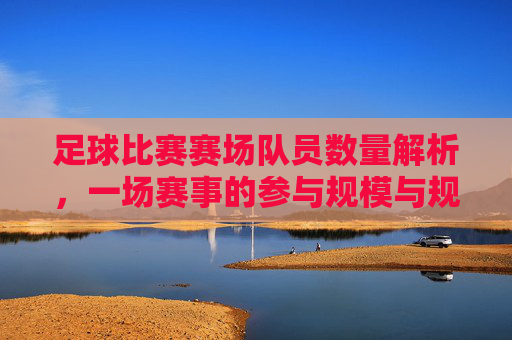 足球比赛赛场队员数量解析,一场赛事的参与规模与规则规定,足球比赛赛场队员数量解析,一场赛事的参与规模与规则规定