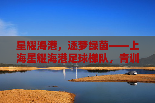 星耀海港，逐梦绿茵——上海星耀海港足球梯队，青训的星火传承与未来希望，星耀海港，逐梦绿茵——上海星耀海港足球梯队，青训的星火传承与未来希望