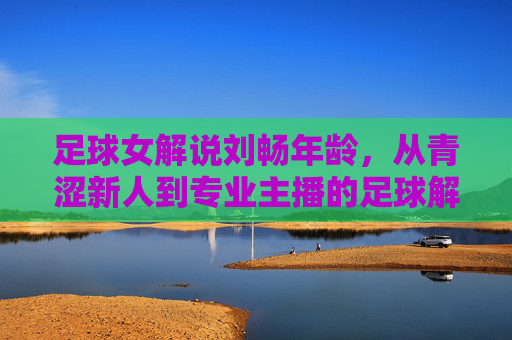 足球女解说刘畅年龄,从青涩新人到专业主播的足球解说之路,足球女解说刘畅年龄,从青涩新人到专业主播的足球解说之路