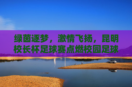 绿茵逐梦，激情飞扬，昆明校长杯足球赛点燃校园足球新活力，绿茵逐梦，激情飞扬，昆明校长杯足球赛点燃校园足球新活力