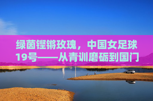 绿茵铿锵玫瑰，中国女足球19号——从青训磨砺到国门荣光的奋斗史诗，绿茵铿锵玫瑰，中国女足球19号——从青训磨砺到国门荣光的奋斗史诗