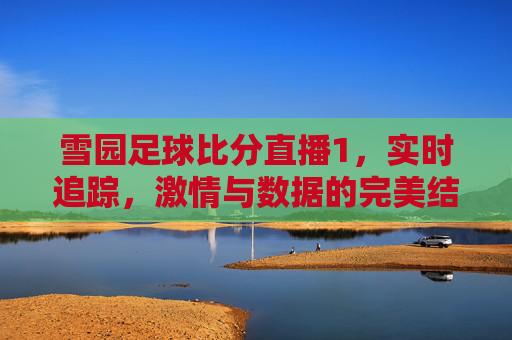 雪园足球比分直播1，实时追踪，激情与数据的完美结合，雪园足球比分直播1，实时追踪，激情与数据的完美结合