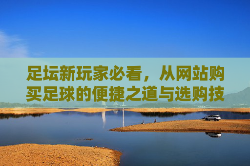 足坛新玩家必看,从网站购买足球的便捷之道与选购技巧,足坛新玩家必看,从网站购买足球的便捷之道与选购技巧