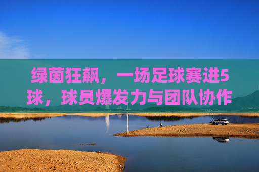 绿茵狂飙，一场足球赛进5球，球员爆发力与团队协作的精彩演绎，绿茵狂飙，一场足球赛进5球，球员爆发力与团队协作的精彩演绎