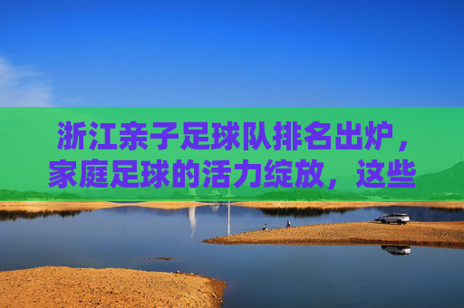 浙江亲子足球队排名出炉,家庭足球的活力绽放,这些队伍引领风尚,浙江亲子足球队排名出炉,家庭足球活力绽放,引领运动风尚