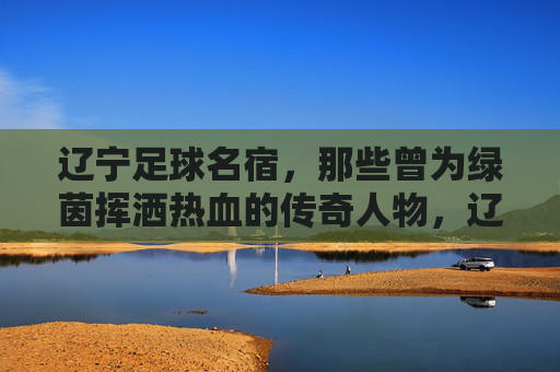 辽宁足球名宿,那些曾为绿茵挥洒热血的传奇人物,辽宁足球名宿,那些为绿茵挥洒热血的传奇人物