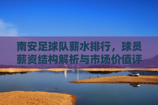 南安足球队薪水排行,球员薪资结构解析与市场价值评估,南安足球队球员薪水排行,薪资结构解析与市场价值评估