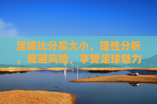 足球比分买大小,理性分析,规避风险,享受足球魅力,足球比分买大小,理性分析风险,尽享足球魅力