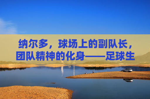 纳尔多，球场上的副队长，团队精神的化身——足球生涯中的领导力与奉献，纳尔多，球场上的副队长，团队精神的化身——足球生涯中的领导力与奉献