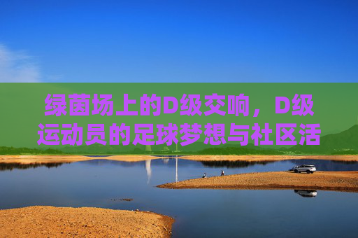 绿茵场上的D级交响,D级运动员的足球梦想与社区活力,绿茵场上的D级交响,D级运动员的足球梦想与社区活力