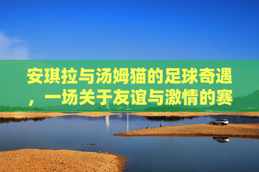 安琪拉与汤姆猫的足球奇遇,一场关于友谊与激情的赛场故事,安琪拉与汤姆猫的足球奇遇,一场关于友谊与激情的赛场故事