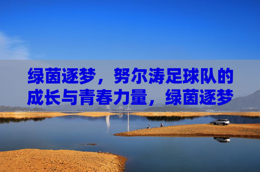 绿茵逐梦,努尔涛足球队的成长与青春力量,绿茵逐梦,努尔涛足球队的成长与青春力量