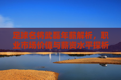 足球名将武磊年薪解析,职业市场价值与薪资水平探析,足球名将武磊年薪解析,职业市场价值与薪资水平探析