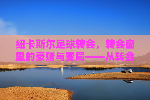 纽卡斯尔足球转会,转会窗里的豪赌与变局——从转会策略到球队未来展望,纽卡斯尔足球转会,转会窗里的豪赌与变局——从转会策略到球队未来展望