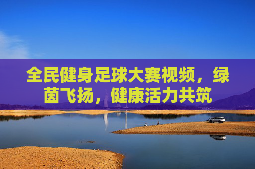 全民健身足球大赛视频,绿茵飞扬,健康活力共筑