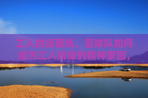 工人的绿茵场，足球队如何成为工人阶级的精神家园，工人的绿茵场，足球队如何成为工人阶级的精神家园