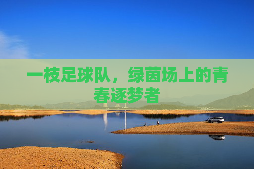 一枝足球队,绿茵场上的青春逐梦者