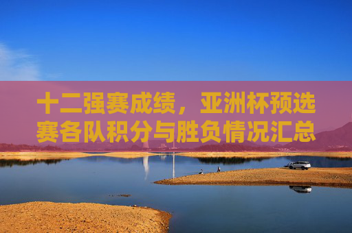 十二强赛成绩,亚洲杯预选赛各队积分与胜负情况汇总