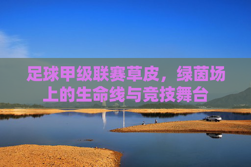 足球甲级联赛草皮,绿茵场上的生命线与竞技舞台