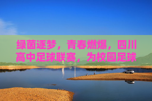 绿茵逐梦,青春燃爆,四川高中足球联赛,为校园足球注入澎湃活力