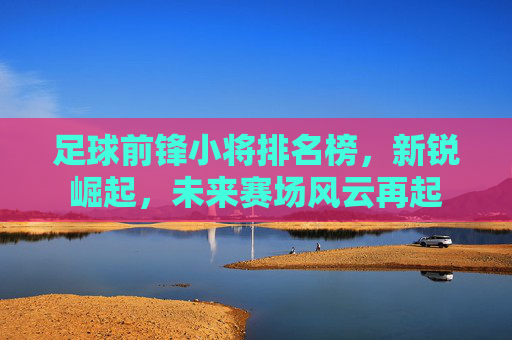 足球前锋小将排名榜,新锐崛起,未来赛场风云再起