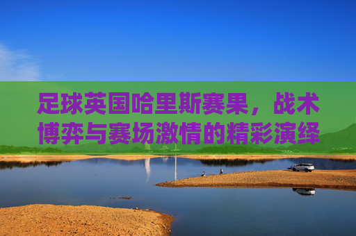足球英国哈里斯赛果,战术博弈与赛场激情的精彩演绎——一场经典对决的深度解析