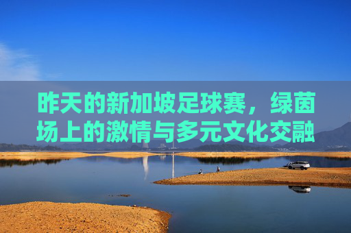 昨天的新加坡足球赛，绿茵场上的激情与多元文化交融，新加坡足球赛，绿茵场上的激情与多元文化交融