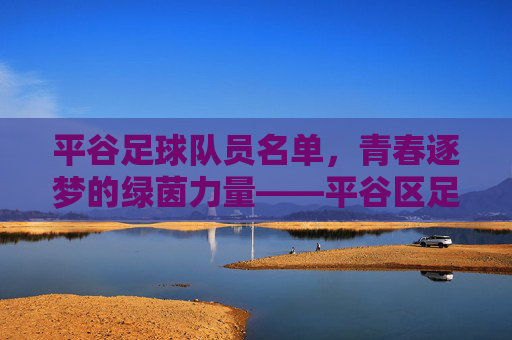 平谷足球队员名单,青春逐梦的绿茵力量——平谷区足球队核心阵容与团队风采