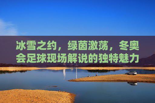 冰雪之约,绿茵激荡,冬奥会足球现场解说的独特魅力与时代价值