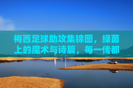 梅西足球助攻集锦图,绿茵上的魔术与诗篇,每一传都点燃胜利的火花