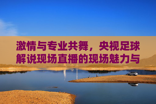 激情与专业共舞,央视足球解说现场直播的现场魅力与时代价值,激情与专业共舞,央视足球解说现场直播的现场魅力与时代价值