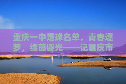 重庆一中足球名单,青春逐梦,绿茵逐光——记重庆市第一中学足球队阵容与风采,重庆一中足球名单,青春逐梦,绿茵逐光——记重庆市第一中学足球队阵容与风采