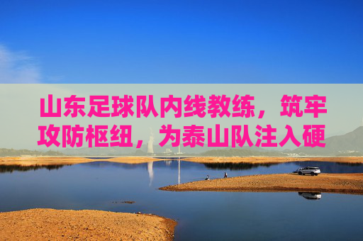 山东足球队内线教练，筑牢攻防枢纽，为泰山队注入硬核力量