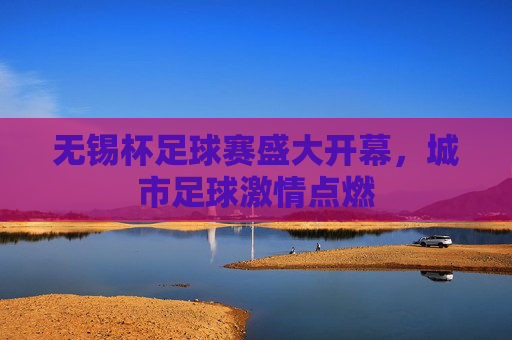 无锡杯足球赛盛大开幕，城市足球激情点燃